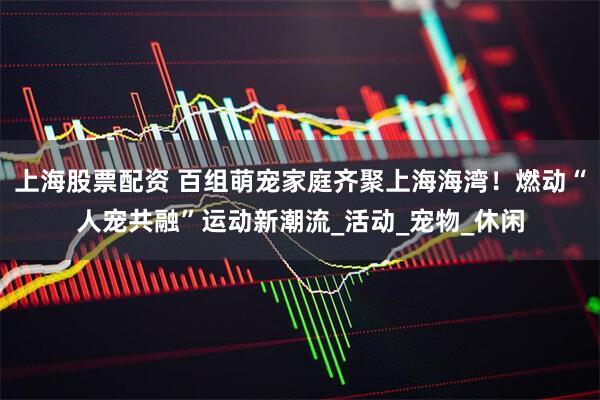 上海股票配资 百组萌宠家庭齐聚上海海湾！燃动“人宠共融”运动新潮流_活动_宠物_休闲