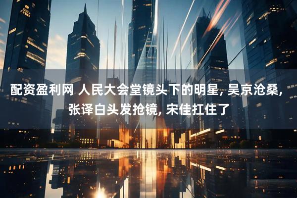 配资盈利网 人民大会堂镜头下的明星, 吴京沧桑, 张译白头发抢镜, 宋佳扛住了
